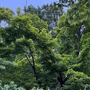 Meet your Posher, Bridget